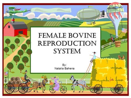 Female Bovine Reproduction System By: Natalia Bahena.