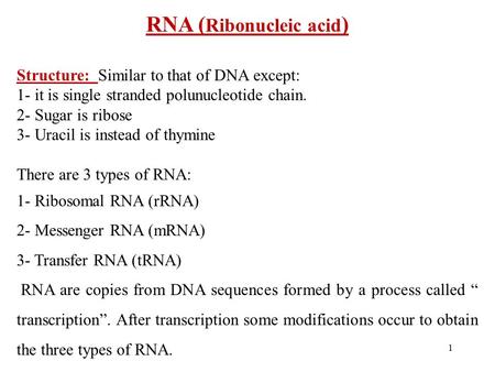1 RNA ( Ribonucleic acid ) Structure: Similar to that of DNA except: 1- it is single stranded polunucleotide chain. 2- Sugar is ribose 3- Uracil is instead.