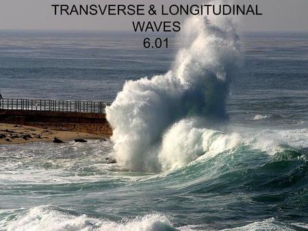 TRANSVERSE & LONGITUDINAL WAVES