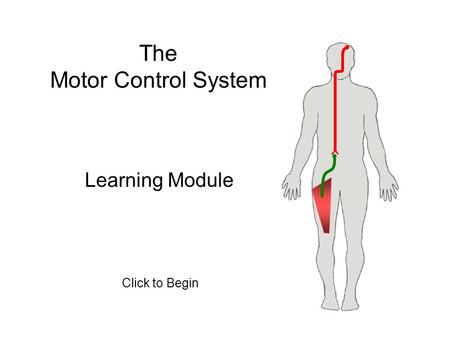 The Motor Control System Learning Module Click to Begin.