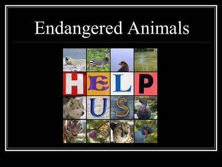 Endangered Animals. By K. Coolman Subject and Grade Level Although connections with art and literacy make this unit interdisciplinary, the focus is social.