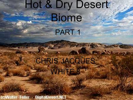 Hot & Dry Desert Biome PART 1