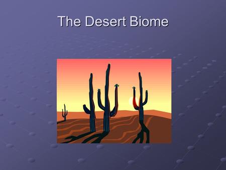 The Desert Biome.