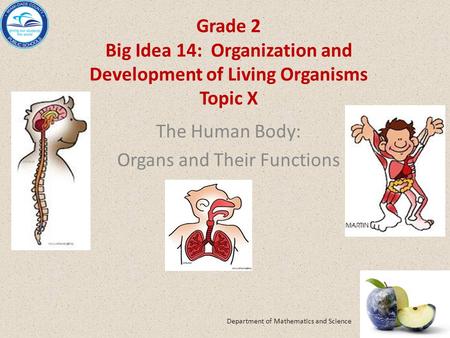 Grade 2 Big Idea 14: Organization and Development of Living Organisms Topic X The Human Body: Organs and Their Functions Department of Mathematics and.