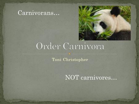 Toni Christopher Carnivorans… NOT carnivores…. Order Carnivora Suborder Feliformia Suborder Pinnipedia Suborder Caniformia.