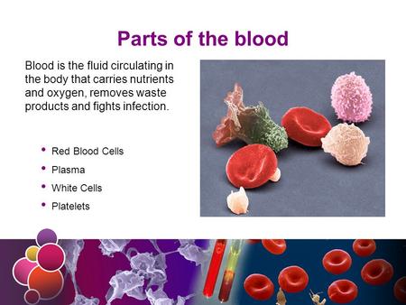 Parts of the blood Blood is the fluid circulating in the body that carries nutrients and oxygen, removes waste products and fights infection. Red Blood.