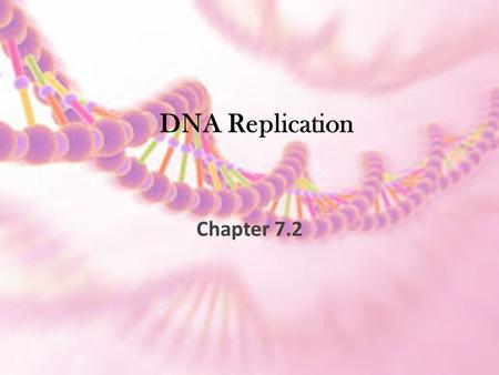 DNA Replication Chapter 7.2. Processing of Genetic Material.