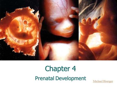 Chapter 4 Prenatal Development Michael Hoerger. Phases of Pregnancy Germinal: up to 2 weeks, 60% death rate Germinal: up to 2 weeks, 60% death rate Embryo: