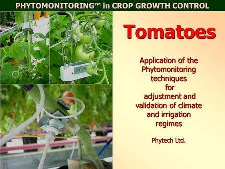 PHYTOMONITORING™ in CROP GROWTH CONTROLTomatoes Application of the Phytomonitoring techniques for adjustment and validation of climate and irrigation regimes.