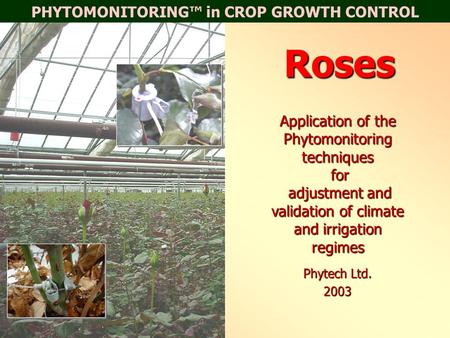 PHYTOMONITORING™ in CROP GROWTH CONTROLRoses Application of the Phytomonitoring techniques for adjustment and validation of climate and irrigation regimes.