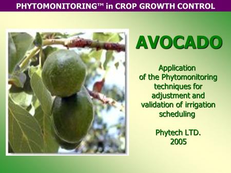 PHYTOMONITORING™ in CROP GROWTH CONTROLAVOCADO Application of the Phytomonitoring techniques for adjustment and validation of irrigation scheduling Phytech.