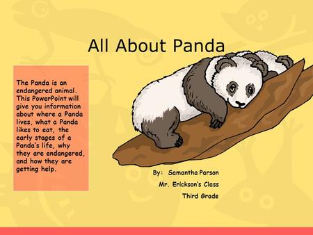 All About Panda By: Samantha Parson Mr. Erickson’s Class Third Grade The Panda is an endangered animal. This PowerPoint will give you information about.