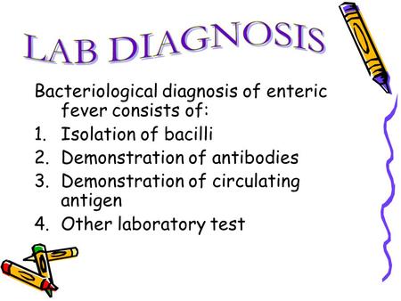 Bacteriological diagnosis of enteric fever consists of: 1.Isolation of bacilli 2.Demonstration of antibodies 3.Demonstration of circulating antigen 4.Other.