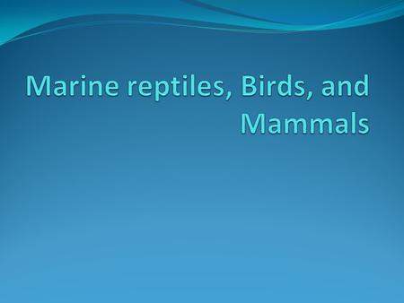 Marine reptiles, Birds, and Mammals