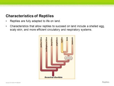 Reptiles Copyright © McGraw-Hill Education Characteristics of Reptiles Reptiles are fully adapted to life on land. Characteristics that allow reptiles.