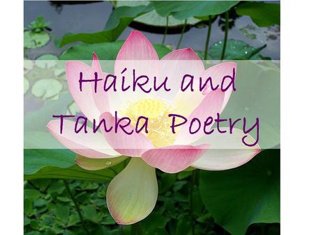 Haiku and Tanka Poetry.