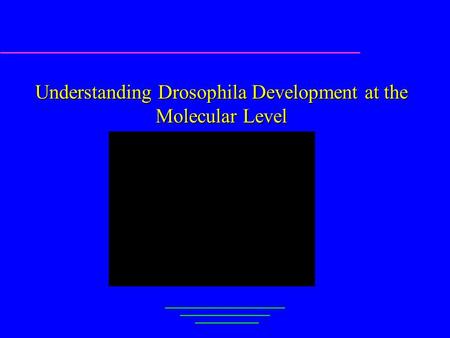 Understanding Drosophila Development at the Molecular Level Gene Myers EECS, UCal, Berkeley.
