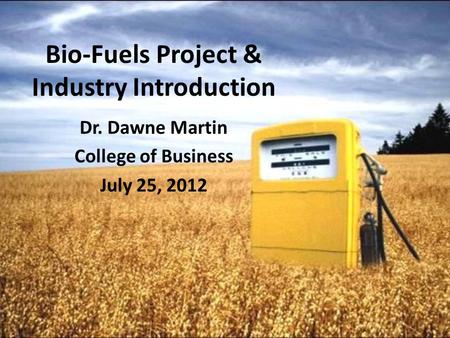 Bio-Fuels Project & Industry Introduction Dr. Dawne Martin College of Business July 25, 2012.