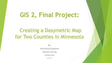 GIS 2, Final Project: Creating a Dasymetric Map for Two Counties in Minnesota By: Hamidreza Zoraghein Melissa Cushing Caitlin Lee Fall 2013.