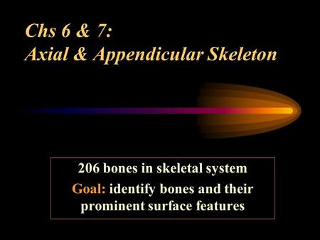 Chs 6 & 7: Axial & Appendicular Skeleton