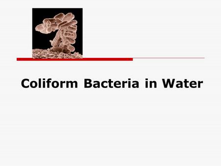 Coliform Bacteria in Water