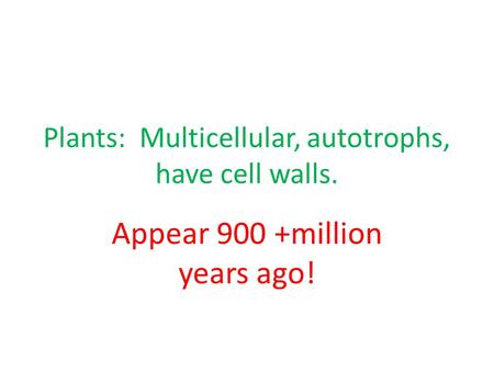 Plants: Multicellular, autotrophs, have cell walls. Appear 900 +million years ago!