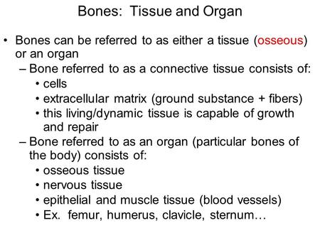 Bones: Tissue and Organ Bones can be referred to as either a tissue (osseous) or an organ –Bone referred to as a connective tissue consists of: cells extracellular.