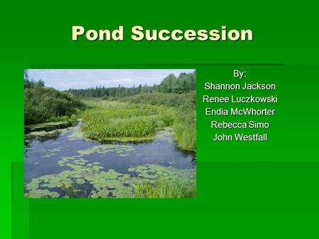 Pond Succession By: Shannon Jackson Renee Luczkowski Endia McWhorter