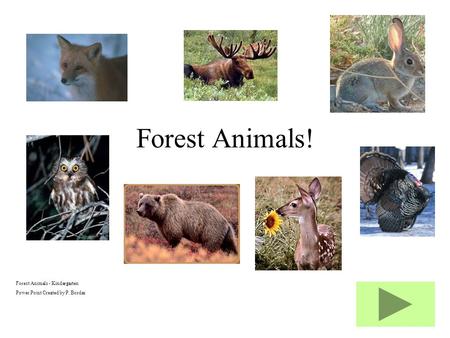 Forest Animals - Kindergarten Power Point Created by P. Bordas Forest Animals!