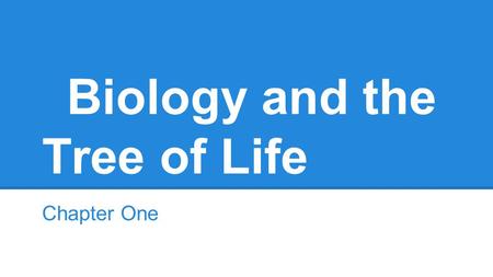 Biology and the Tree of Life Chapter One. Key Concepts Organisms obtain and use energy are made up of cells, process information, replicate, and as populations.