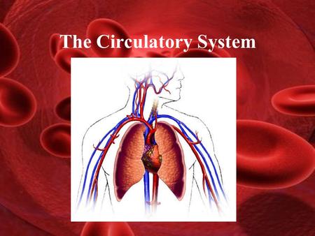 The Circulatory System. Functions of the Circulatory System Stabilizes body temperature and pH to maintain homeostasis An organ system which distributes.