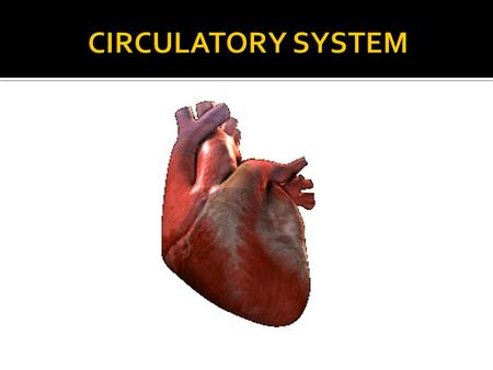  Label a diagram of the heart and blood vessels.  Explain how the blood circulates through the heart to the body.  Identify two common disorders of.
