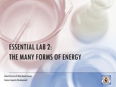 ESSENTIAL LAB 2: THE MANY FORMS OF ENERGY School District of Palm Beach County Science Capacity Development.