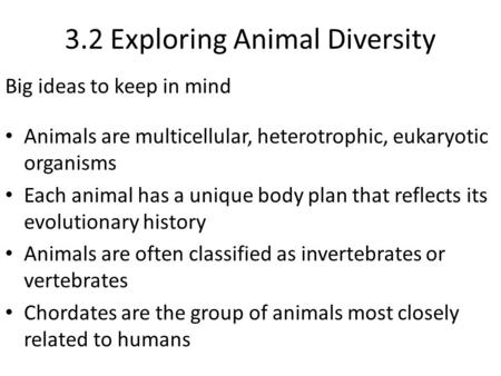 3.2 Exploring Animal Diversity Big ideas to keep in mind Animals are multicellular, heterotrophic, eukaryotic organisms Each animal has a unique body plan.