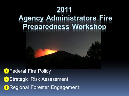 1. Federal Fire Policy 2. Strategic Risk Assessment 3. Regional Forester Engagement 1 2 3.