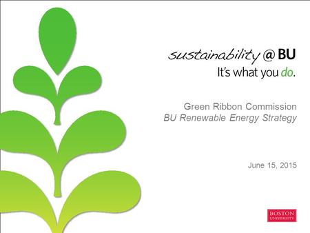 Green Ribbon Commission BU Renewable Energy Strategy June 15, 2015.