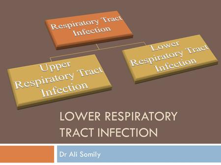 LOWER RESPIRATORY TRACT INFECTION Dr Ali Somily. Objectives  To know the epidemiology and main causes of lower respiratory tract infections  The understated.