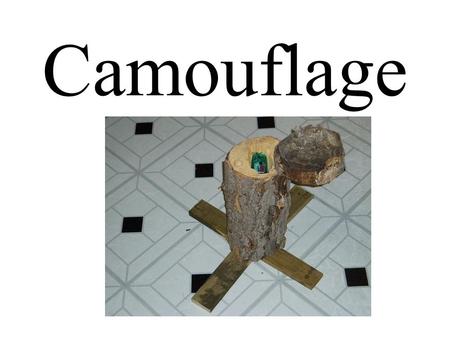 Camouflage. From Wikipedia: Camouflage is the method which allows an otherwise visible organism or object to remain indiscernible from the surrounding.