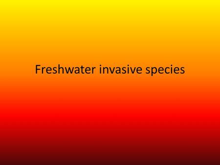 Freshwater invasive species. Stuff that can be invasive is birds and mammals. When Invasive species enter a new place it seems to tack over. Invasive.