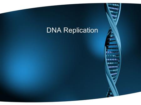 DNA Replication. Why is DNA Replication needed? When cells are dividing… During Interphase of Mitosis & Meiosis DNA must be copied so that each new cell.