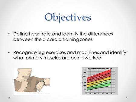 Objectives Define heart rate and identify the differences between the 5 cardio training zones Recognize leg exercises and machines and identify what primary.