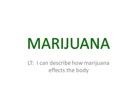 LT: I can describe how marijuana effects the body.