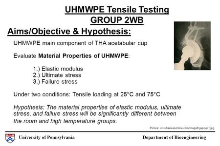 University of Pennsylvania Department of Bioengineering Aims/Objective & Hypothesis: UHMWPE Tensile Testing GROUP 2WB UHMWPE main component of THA acetabular.