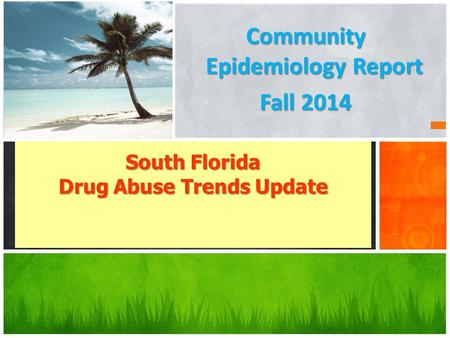 Community Epidemiology Report Fall 2014 South Florida Drug Abuse Trends Update.