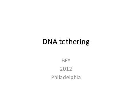DNA tethering BFY 2012 Philadelphia. Tethering DNA Biotin molecule (covalently attached) Lambda phage DNA (48,502 bp = 16.2  m) Digoxigenin (covalently.