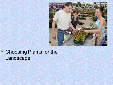 Choosing Plants for the Landscape. Next Generation Science / Common Core Standards Addressed! CCSS. Math. Content.HSN ‐ Q.A.1 Use units as a way to understand.