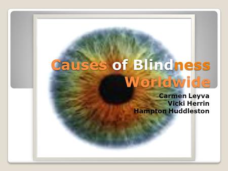 Causes of Blindness Worldwide Carmen Leyva Vicki Herrin Hampton Huddleston.