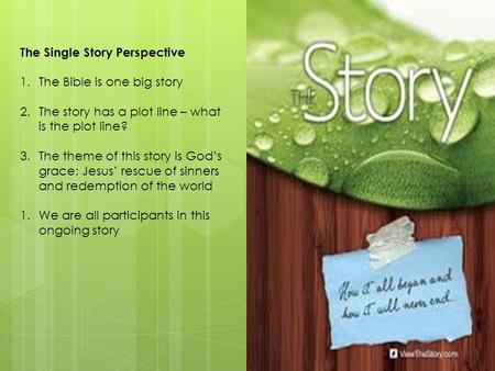 The Single Story Perspective 1.The Bible is one big story 2.The story has a plot line – what is the plot line? 3.The theme of this story is God’s grace: