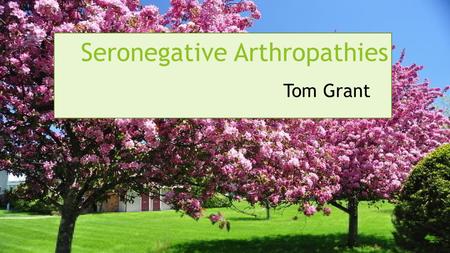 Seronegative Arthropathies Tom Grant. Professional spoon cleaner Dan Waite enters your clinic, and says that he has been casually reading about arthritis.