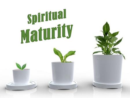 Spiritual Maturity Put away carnal things 1 Corinthians 3:1-3.